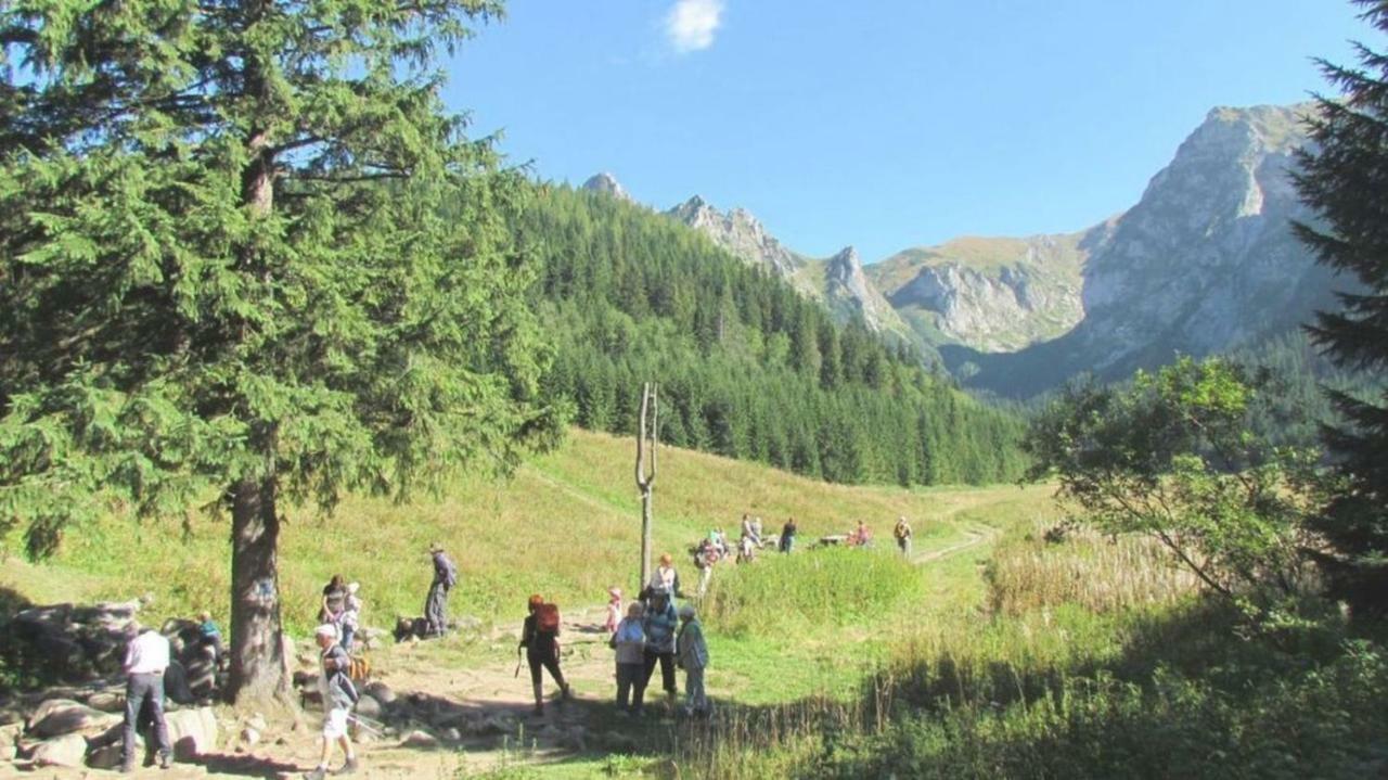 Willa Iskra Zakopane Exterior photo